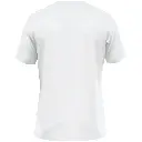 6176_000_P01.webp