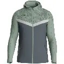 Veste à capuche Iconic 6824