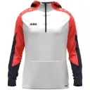 Sweat à capuche Dynamic 6670